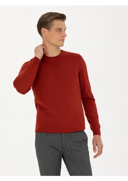 Erkek Koyu Kiremit Slim Fit Bisiklet Yaka Triko Kazak 50270174-VR206
