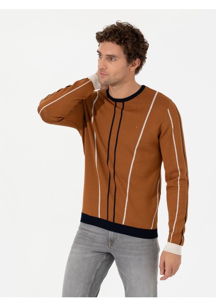 Erkek Açık Kahverengi Slim Fit Bisiklet Yaka Triko Kazak 50259623-VR002