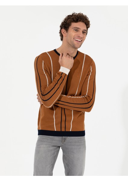 Erkek Açık Kahverengi Slim Fit Bisiklet Yaka Triko Kazak 50259623-VR002