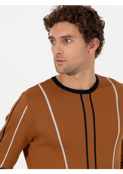 Erkek Açık Kahverengi Slim Fit Bisiklet Yaka Triko Kazak 50259623-VR002