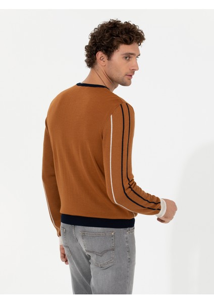 Erkek Açık Kahverengi Slim Fit Bisiklet Yaka Triko Kazak 50259623-VR002