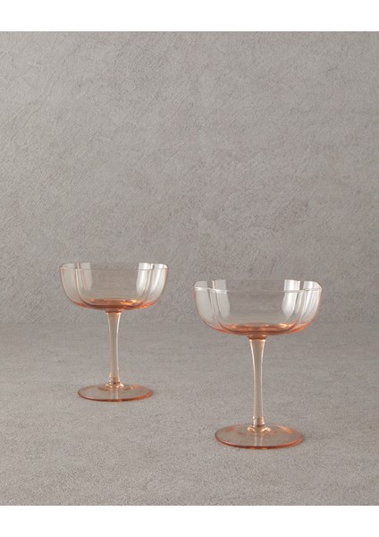 Reina Cam 2'li Cup Pudra