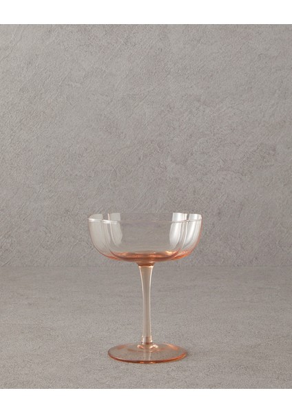 Reina Cam 2'li Cup Pudra fiyatları