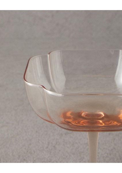 Reina Cam 2'li Cup Pudra modelleri