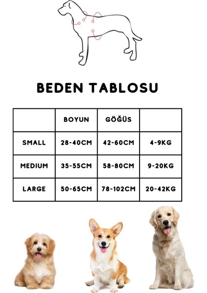 '' Fancy '' 4 Parça Köpek Gezdirme Seti - Amerika'nın En Meşhur Köpek Gezdirme Seti modelleri