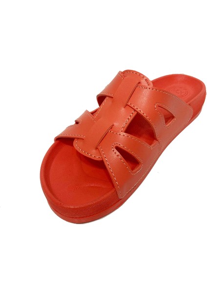 11201-24 Anatomik Trend Fashion Kadın Terlik fiyatları