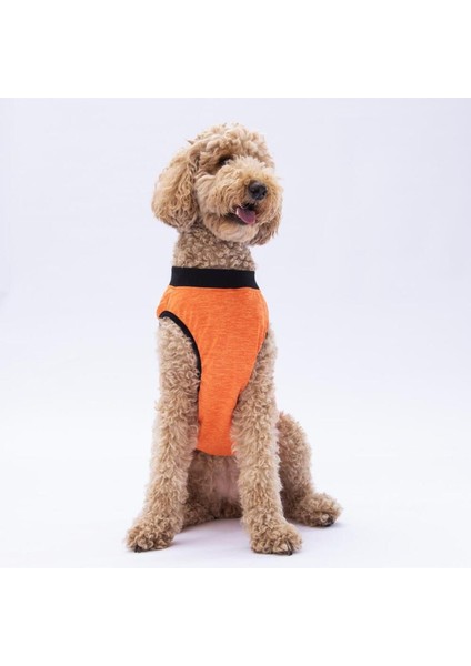 Turuncu Sunrise Büyük Köpek Tişörtü - Köpek Kıyafeti (15 Kg-45 Kg) 3xl modelleri