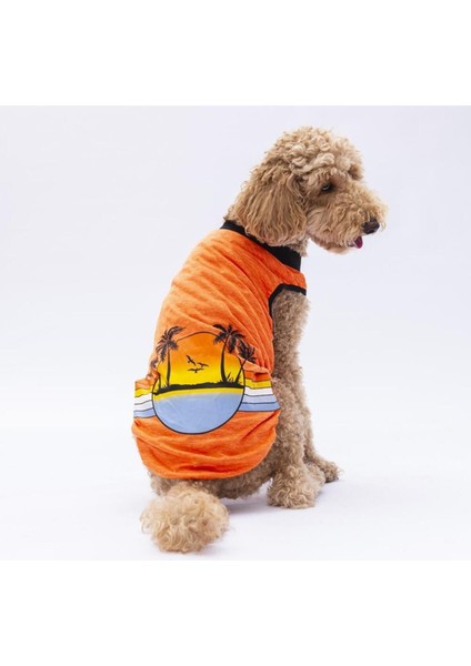 Turuncu Sunrise Büyük Köpek Tişörtü - Köpek Kıyafeti (15 Kg-45 Kg) 4xl
