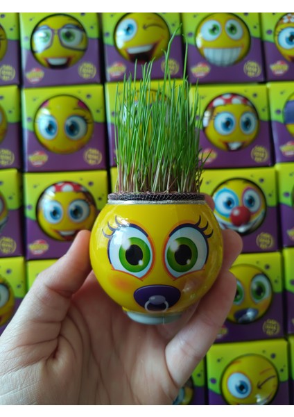 Çim Adam Herbiriayrı Kutulu Karne ve Dığum Günü Hediyesi fırsatları