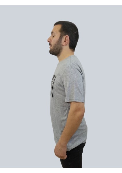 Erkek Tiger Sıfır Yaka Basic Gri Tişört fiyatları