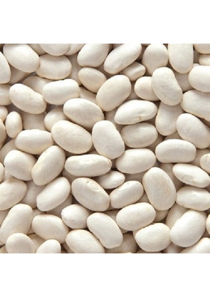 Kuru Fasulye Ata Tohumu Oturaktır. Pişkendir 250 Gram.