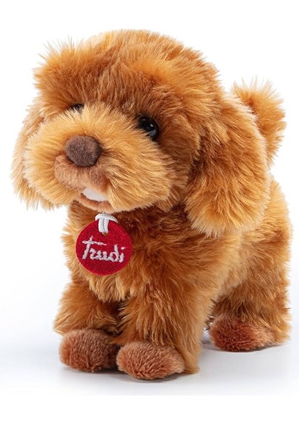 Barboncino Toy Oliver Peluş TUD22333