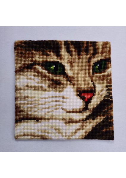 Işlenmiş Goblen Yastık Kedi Desenli Yviid