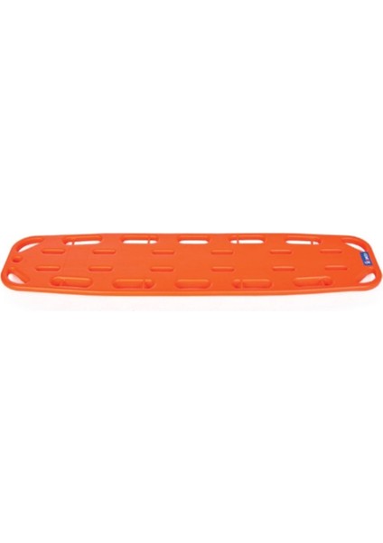Omurga Tahtası Yetişkin