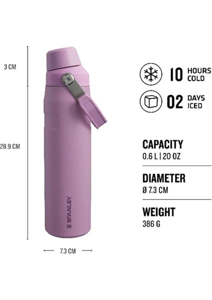The Aerolight™ Iceflow™ Water Bottle Fast Flow 0.6l / 20OZ Lila