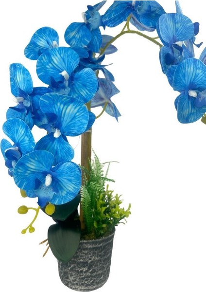 Yapay Çiçek 2li Mavi Islak Orkide Seramik Saksıda Orkide 60CM