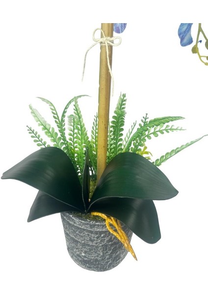 Yapay Çiçek 2li Mavi Islak Orkide Seramik Saksıda Orkide 60CM