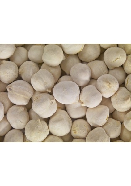 Duble Beyaz Leblebi fiyatları