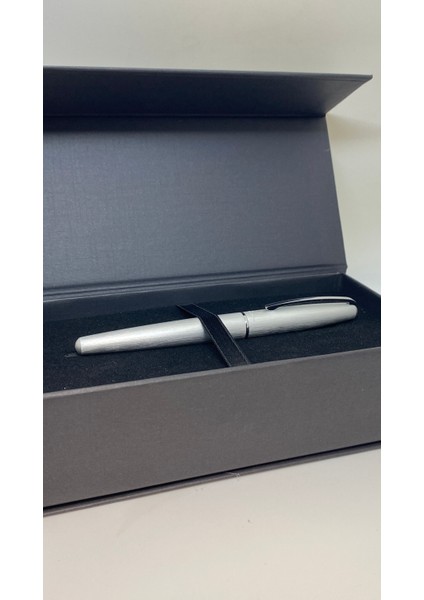 Fiesta Gri Roller Kalem modelleri