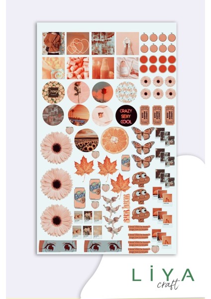 Pink Vintage Sticker Planner Ajanda Bullet Journal Için Uygun Set