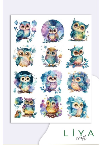 Sevimli Baykuş Sticker Planner Ajanda Bullet Journal Için Uygun Set