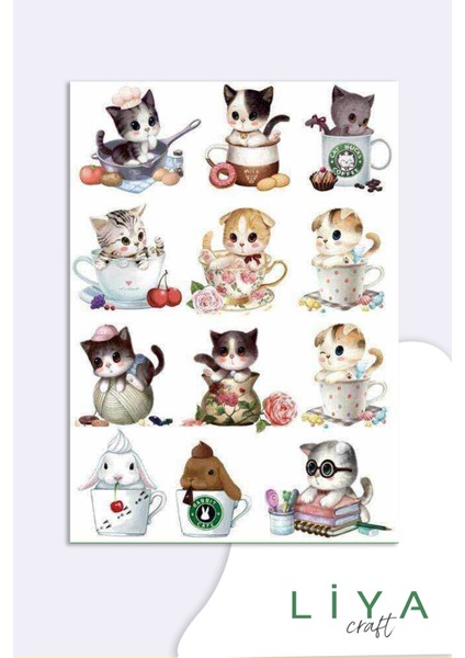 Sevimli Kedi Sticker Planner Ajanda Bullet Journal Için Uygun Set