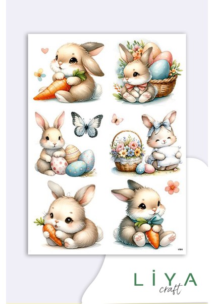 Sevimli Tavşan Sticker Planner Ajanda Bullet Journal Için Uygun Set