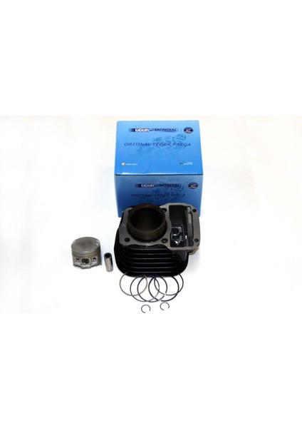 Cg 100 Silindir Komple 50 mm 13 Pim Siyah-Erpilsan