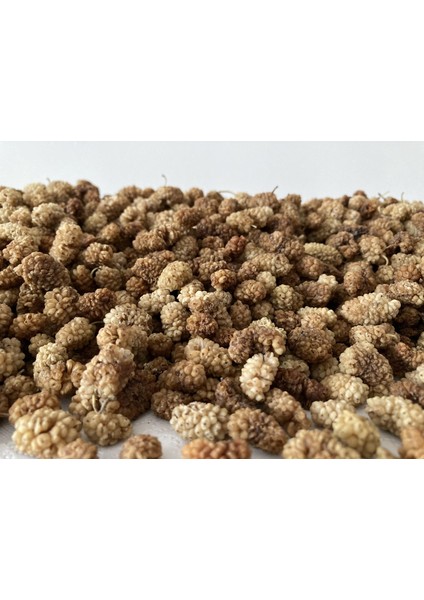 Malatya Kale Doğal Beyaz Dut Kurusu (Çekirdeksiz) 500 gr modelleri