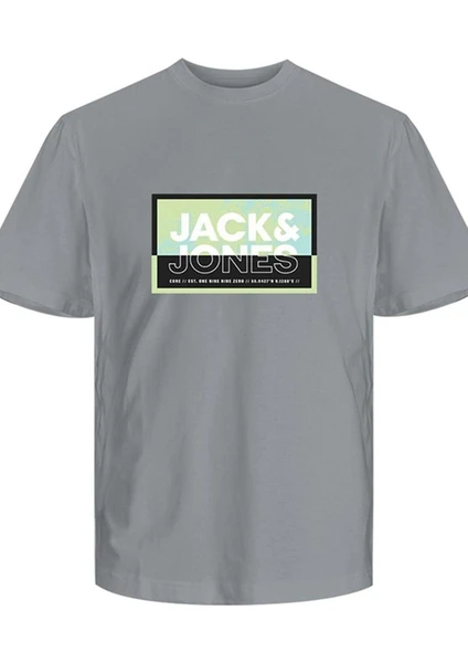 Jack & Jones Jcologan Summer Prınt Tee Crew Neck Fst 12259908 Duman