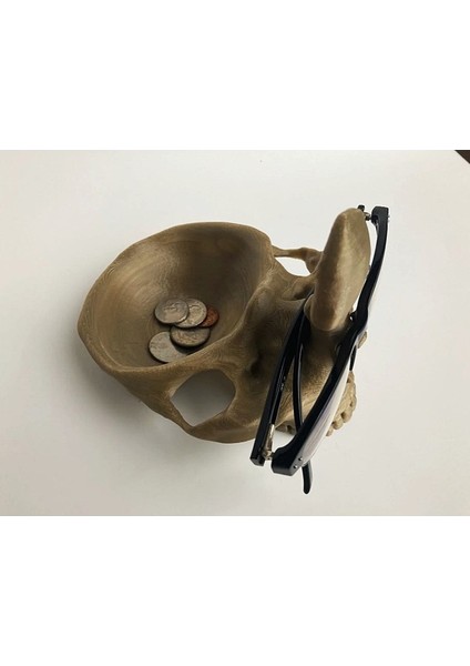 Skull Kafatası Gözlük ve Bozuk Para Tutucu fırsatları