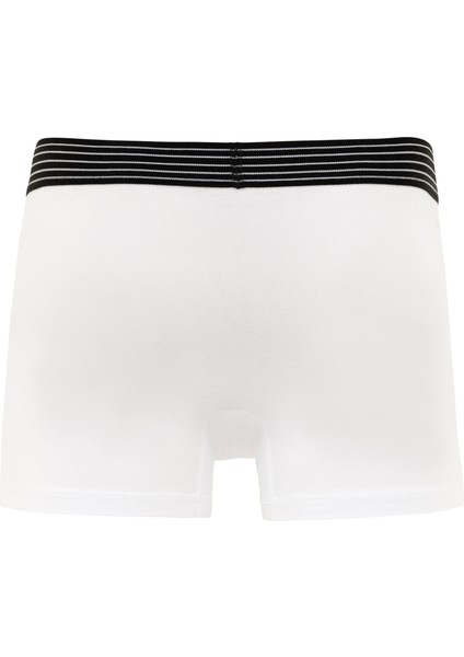 Erkek Multicolor Iç Giyim Alt 50291632-999