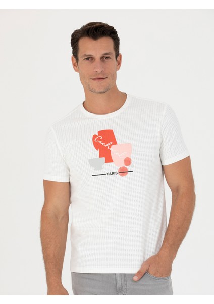 Erkek Beyaz Slim Fit Bisiklet Yaka T-Shirt 50265875-VR013