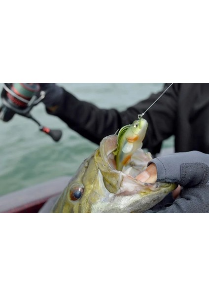 3069 Jumping Soft 7.5cm 14GR Gizli Iğneli Levrek Silikonu Suni Yem modelleri