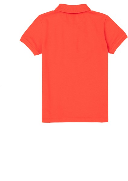 Erkek Çocuk Kırmızı Tişört Basic 50279572-VR030 fiyatları