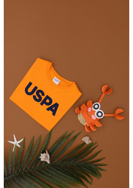 Erkek Çocuk Turuncu Tişört Basic 50279614-VR051