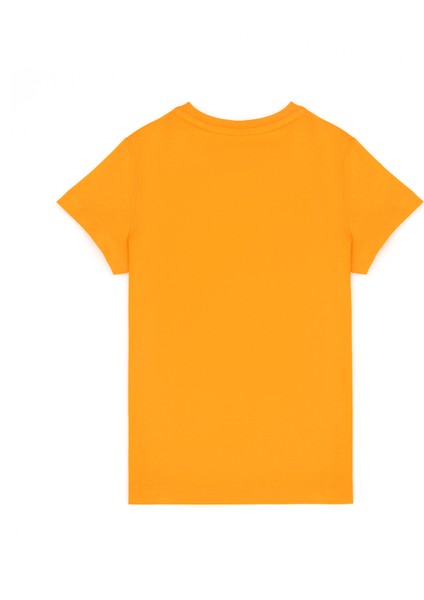 Erkek Çocuk Turuncu Tişört Basic 50279614-VR051 modelleri