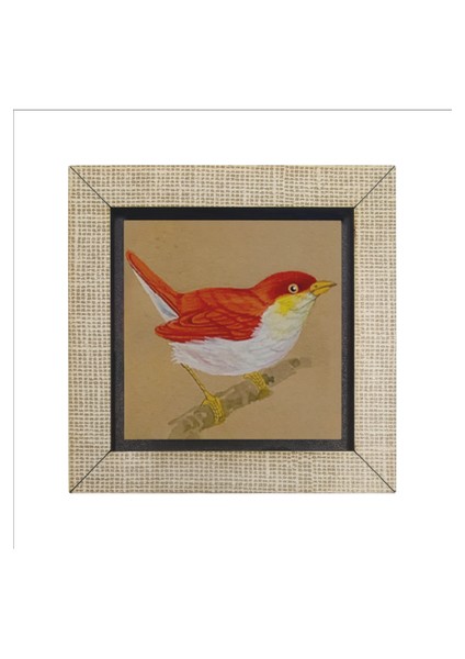 Kuş Baskılı Mdf MAGNETKRG-157BUZDOLABI Süsü fırsatları