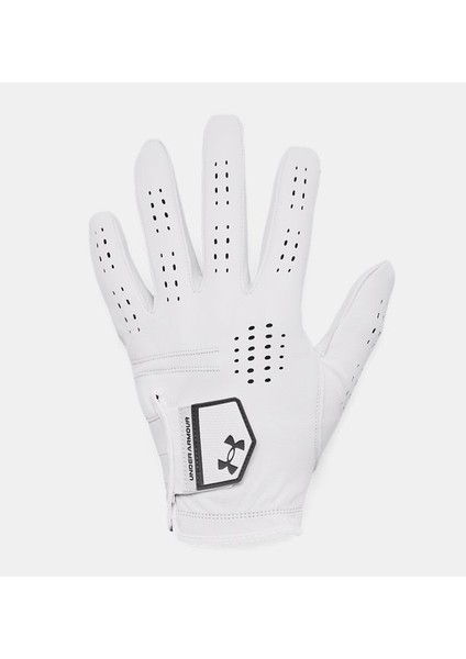 Erkek Ua Drive Tour Eldiven 1382003-100
