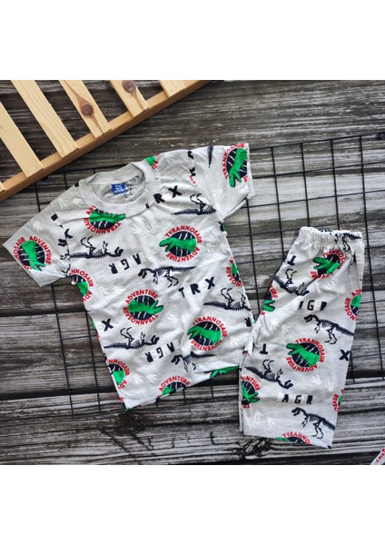 Rainbow Erkek Çocuk Dinazor Desenli Yazlık Pijama Takımı