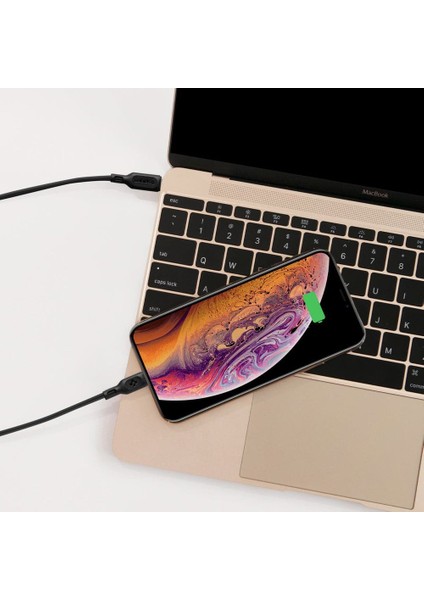 Essential USB-C to Lightning (1 Metre) Hızlı Şarj/Data Kablosu MFI Lisanslı C10CL Black - 000CA27021