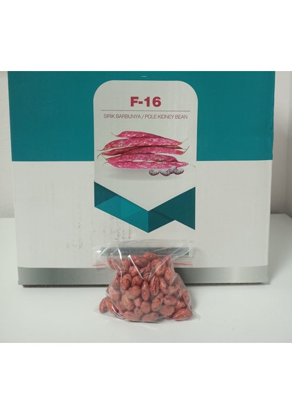 F16 Sırık Barbunya Tohumu 100 gr