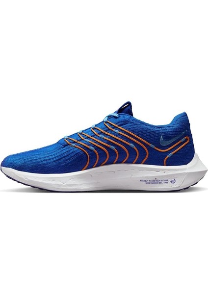 Pegasus Turbo Next Nature Erkek Koşu AYAKKABISI-FD0717-400