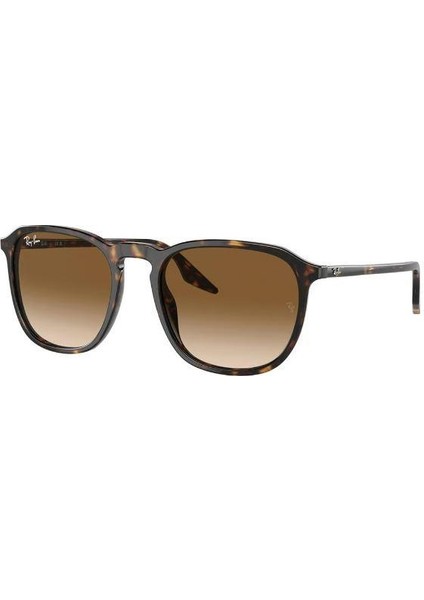 Rayban 0RB2203 902/51 52 Unisex Güneş Gözlüğü