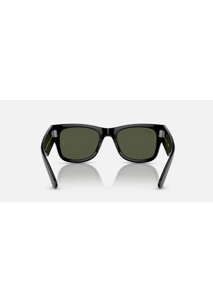 Rayban 0RB0840S 901/31 51 Kadın Güneş Gözlüğü