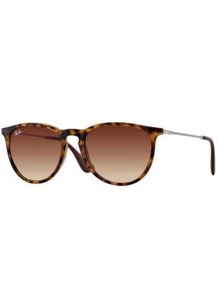 Rayban 0RB4171 865/13 54 Unisex Güneş Gözlüğü