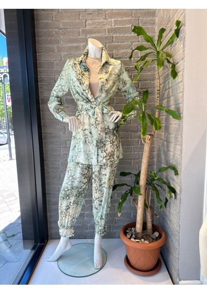 5438 Omelya Takım