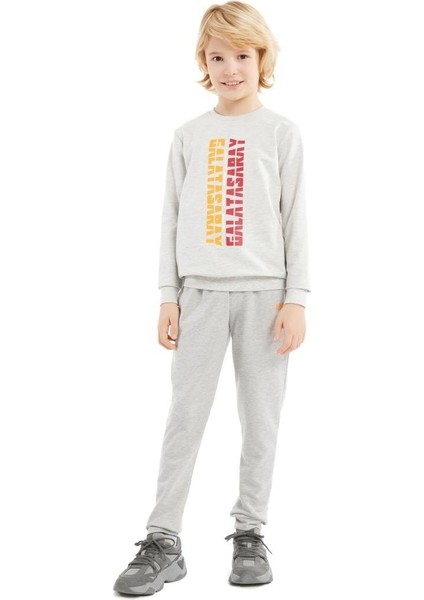 Orijinal Baskılı Gri Çocuk Sweat