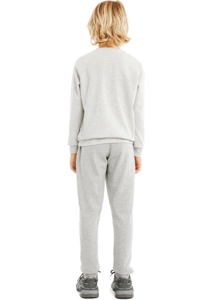 Orijinal Baskılı Gri Çocuk Sweat fiyatları