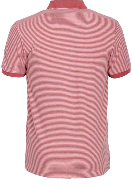 Erkek Polo Yaka Tişört Nar Çiceği Dokulu %100 Pamuk Slim Fit Ribanalı 1247 fırsatları
